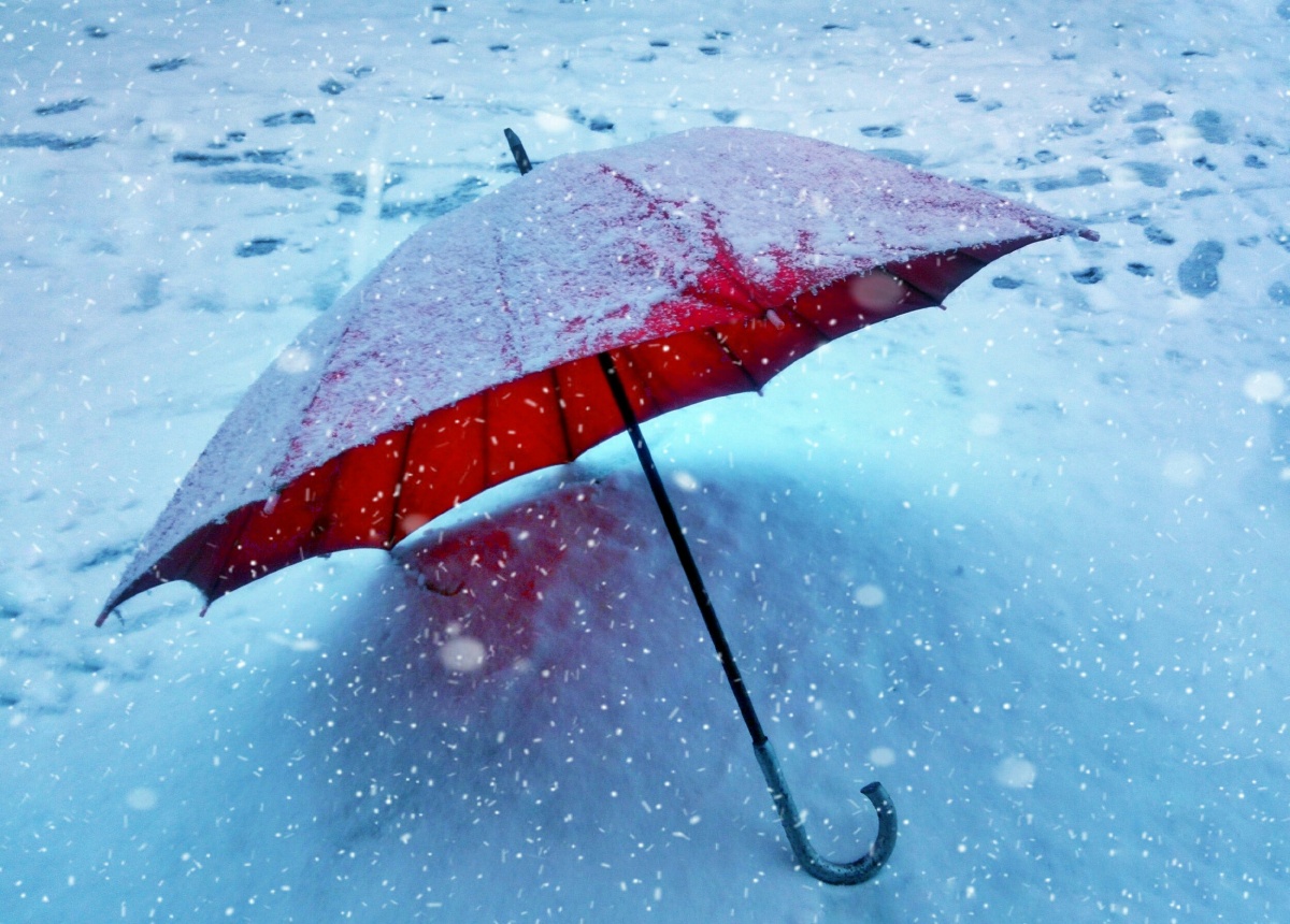 雪中梦,伞下情