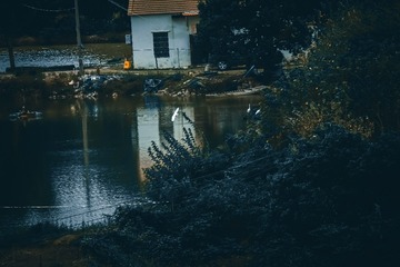 1000048220