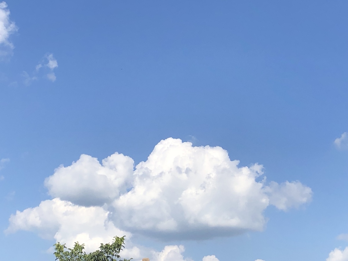 棉花糖般的白云