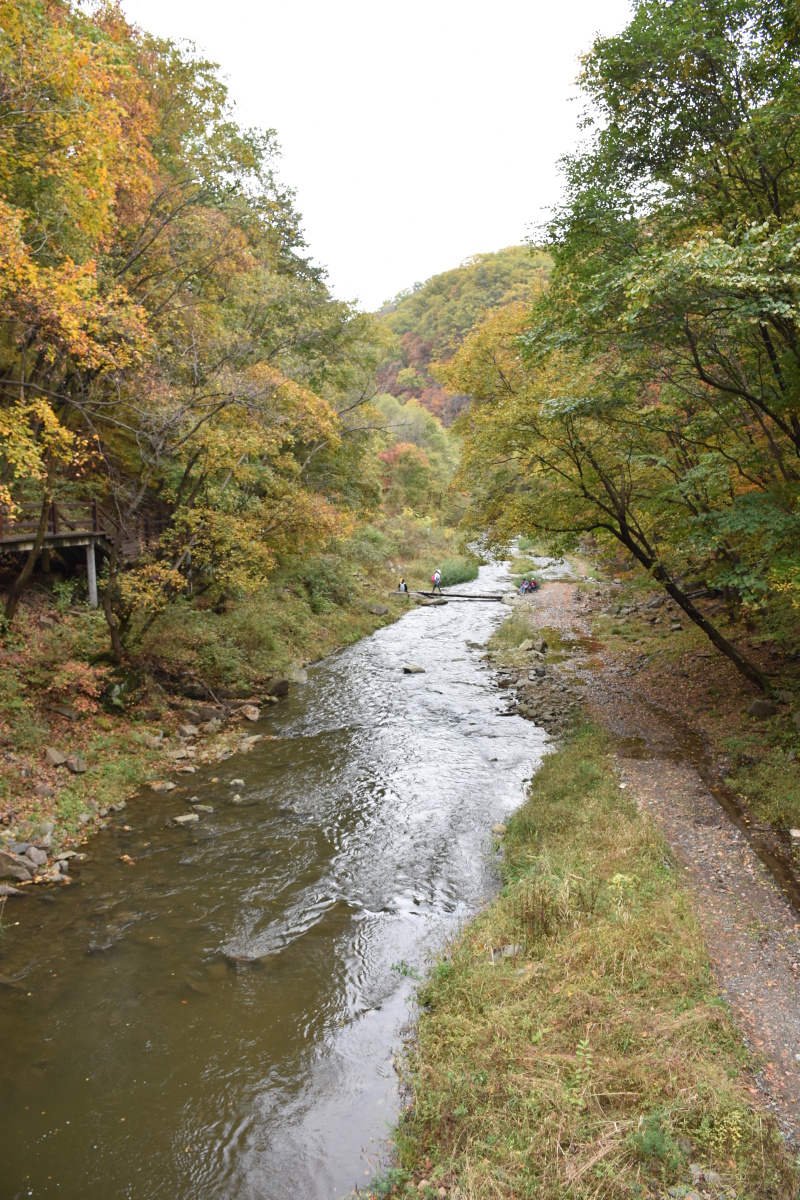筐子沟秋色辽宁抚顺清原