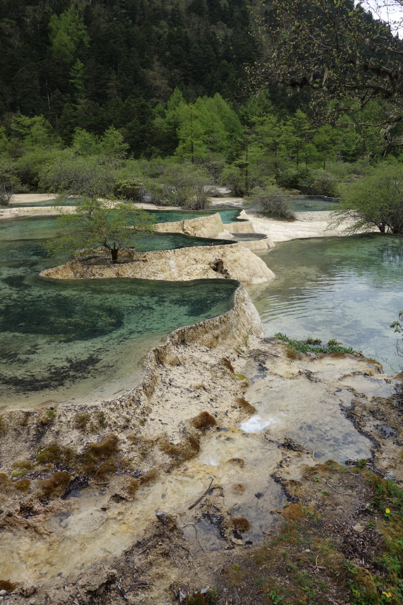 四川阿坝黄龙风景区