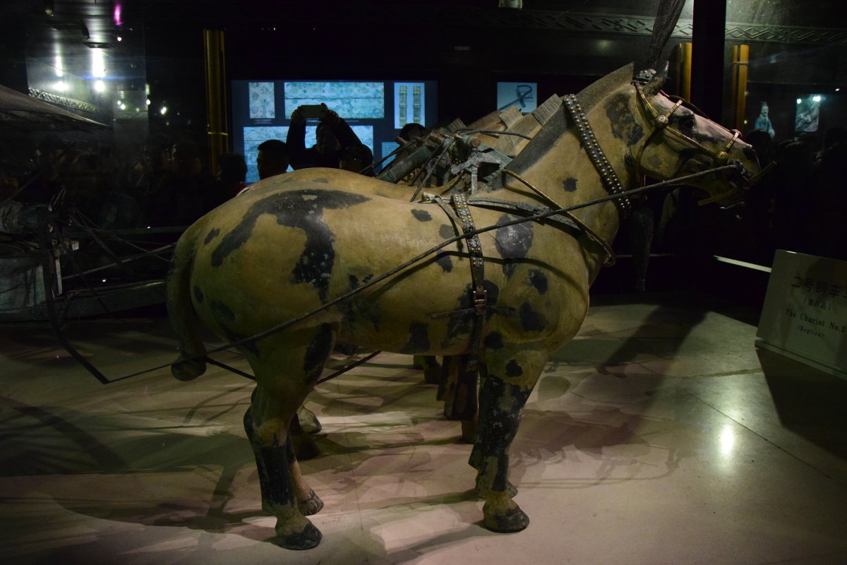 西安兵马俑博物馆青铜马车