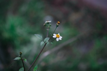 D70F2816-5EC4-47BD-ABEB-9DF7CC0A3347/L0/001