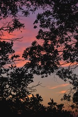 0542C0FD-5BB3-43EA-8DC6-6061D6BEC5BE/L0/001
