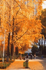 FA2CA0E9-84E9-493F-BB51-0CBB2F27E222/L0/001