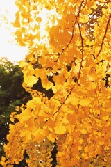 1F813FD3-A6ED-460D-BF59-EEE0029392F9/L0/001
