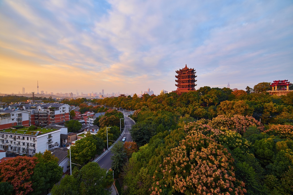 山外青山楼外楼