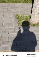 1000003446