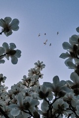 2DFBADFF-B7D2-4AEC-9951-F79E672EF378/L0/001