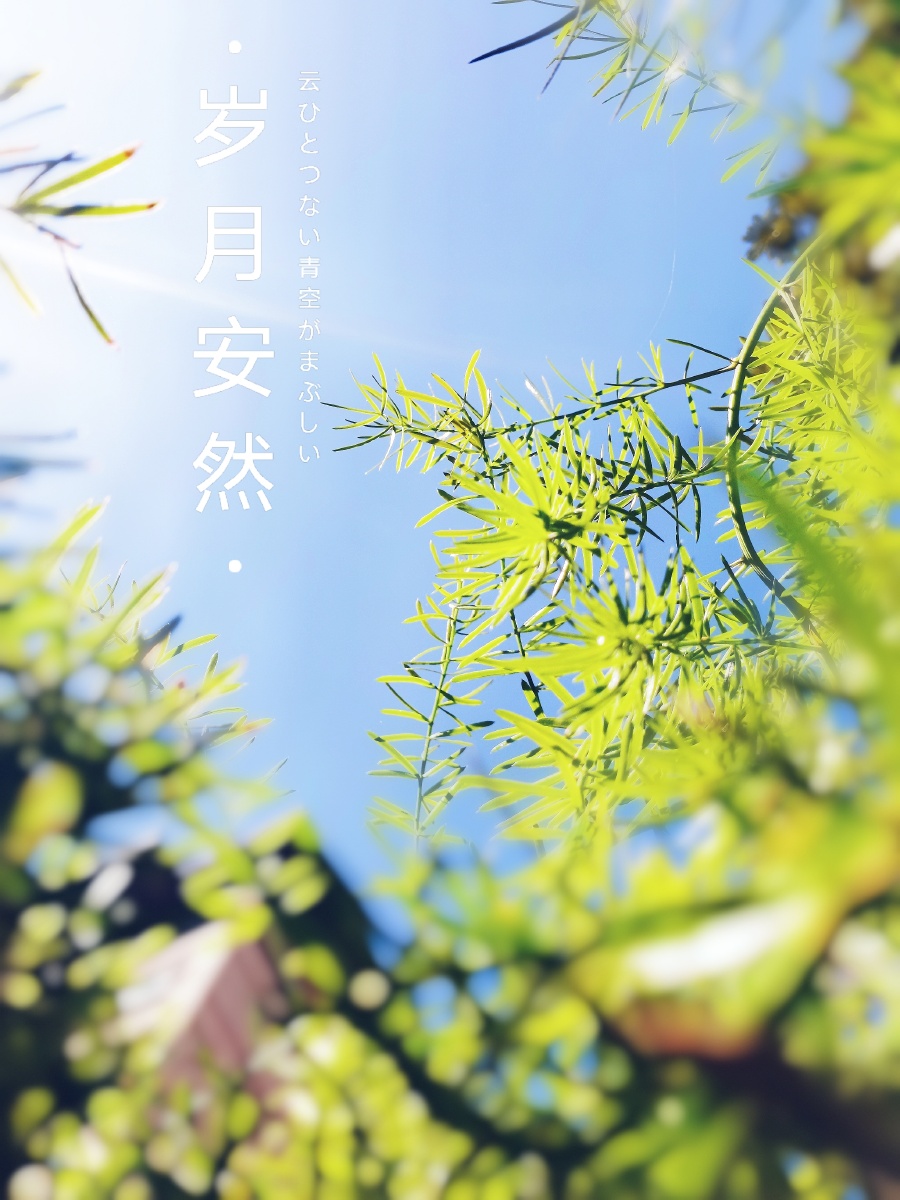 时光安然岁月静好寻一片属于自己的天空其实也就是如此简单