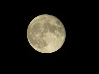 80A7474D-1554-43CB-9C35-E16B1C6763EC/L0/001