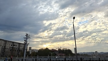 1000078712