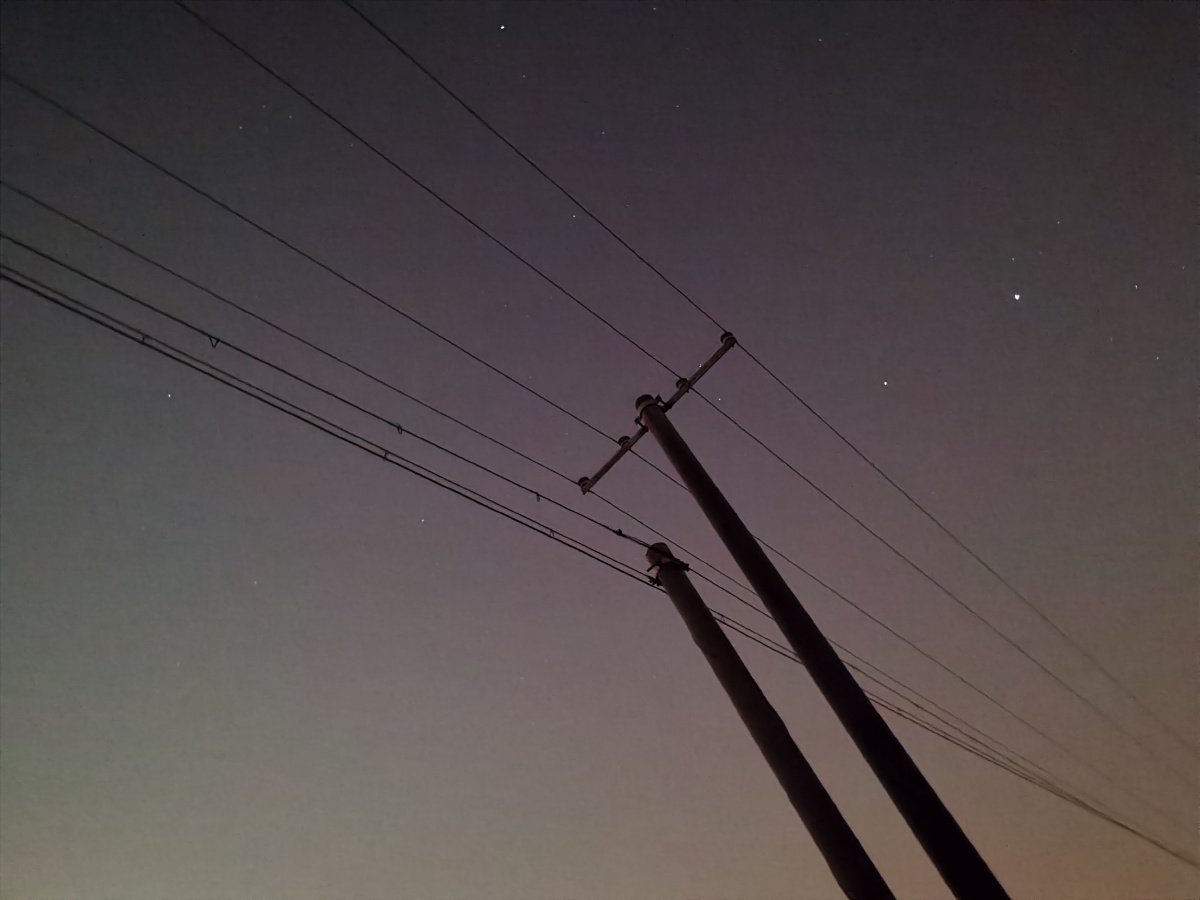 星空下的电线杆