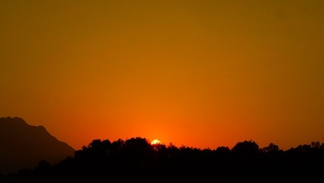 C0FD6502-26D8-4811-A111-DB4E0BF434AE/L0/001
