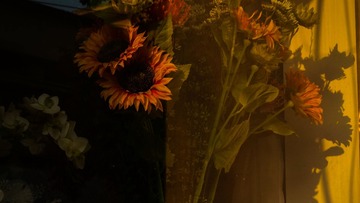 943D0663-9F00-4AF3-8BD4-370A715C7579/L0/001