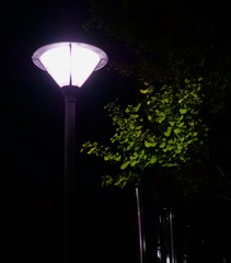 EE35C631-CF36-46BE-9FAF-3437B975E310/L0/001