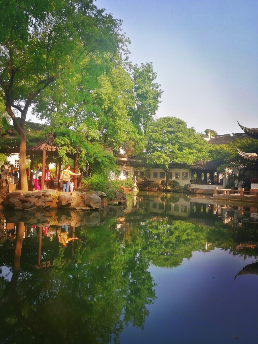 苏州风景拙政园美景如画随拍