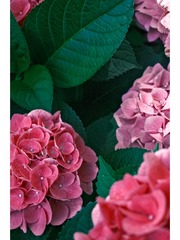 9E27717E-537B-4F22-810C-6B433D731FE3/L0/001