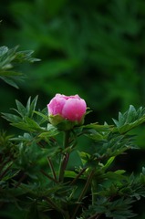 F57AAC58-382D-4B7E-8123-D9F394ED0A72/L0/001