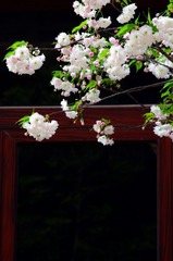 7B642137-BA28-4C08-932B-91E089EEC821/L0/001