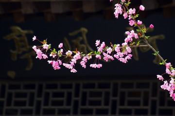 280186