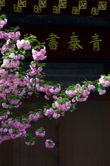 CC7FAD8A-7AB2-41AB-8502-63E947EC3C5A/L0/001