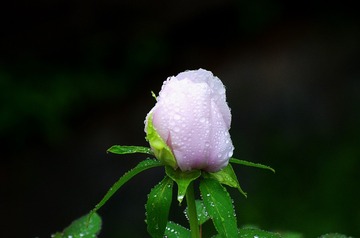 290E8182-15F9-4EC5-919B-10E57EAE3993/L0/001