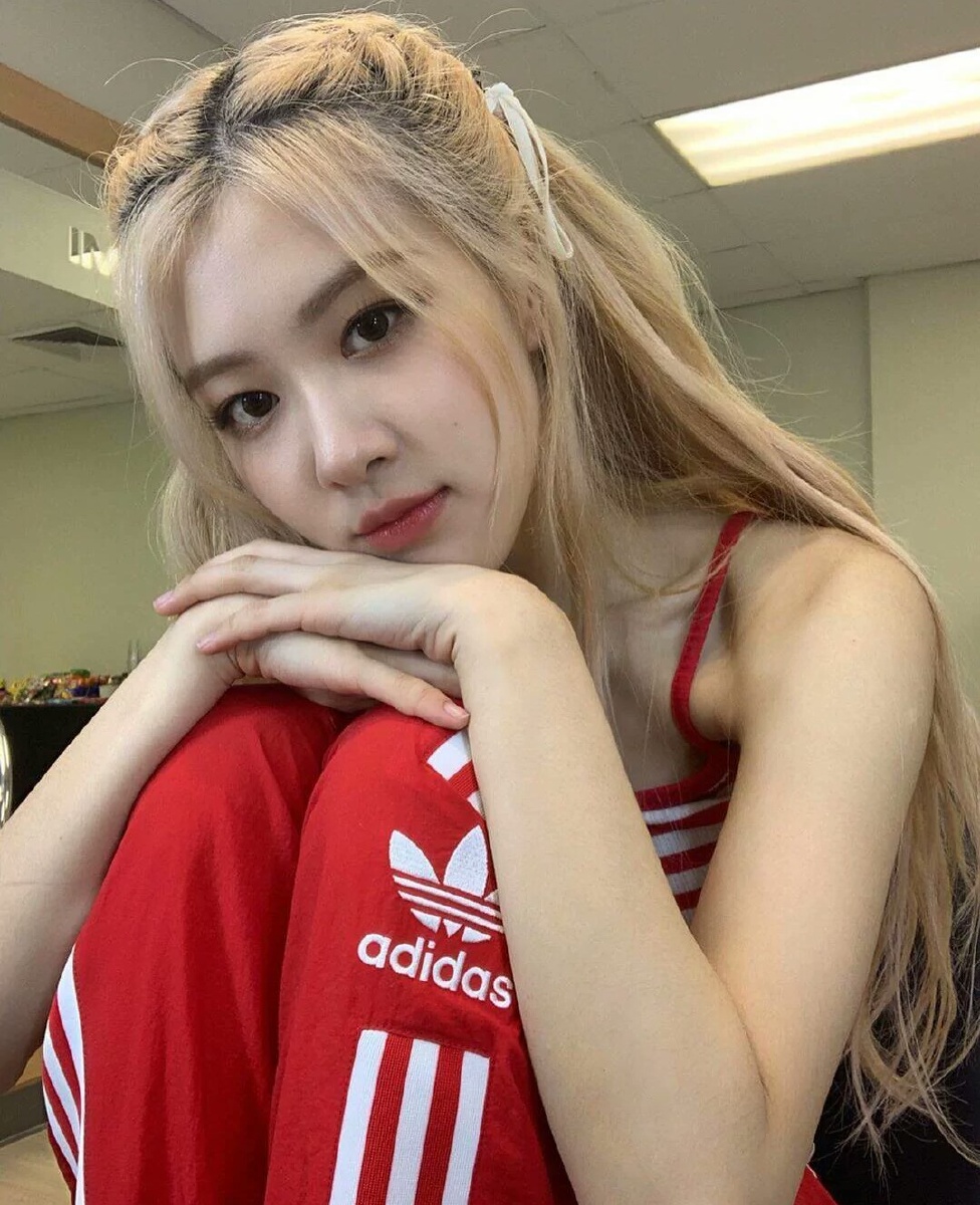 澳洲野玫瑰 朴彩英