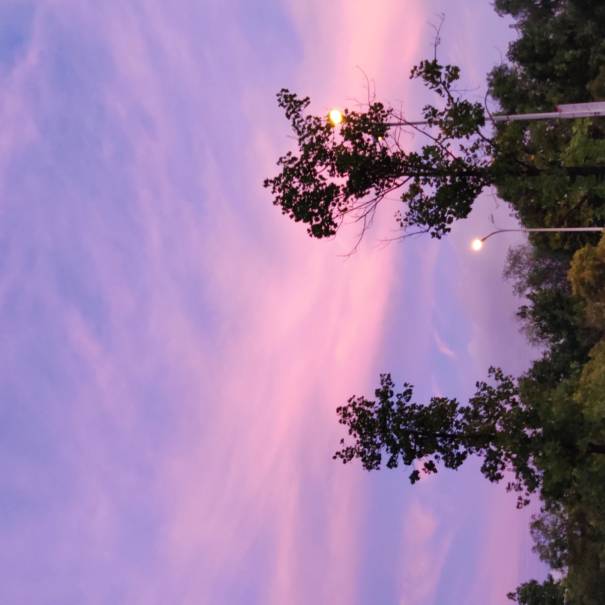 温柔的天空(原图)