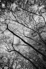E9FC0CC7-F5D1-471C-B73F-D63A40811003/L0/001