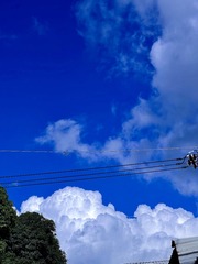 AB122826-D909-44A9-85CF-1D7A1D9DF820/L0/001