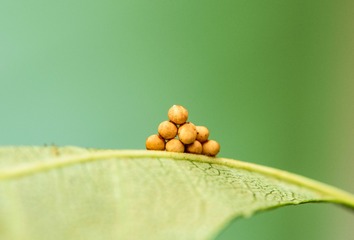 122434