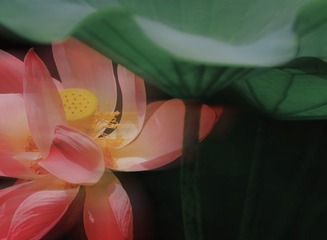 6A8A1289-69A1-4F17-A0AB-C0DF259BD07A/L0/001