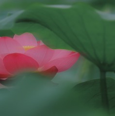 3D211EFA-7886-4013-B06E-192997E5AA5E/L0/001
