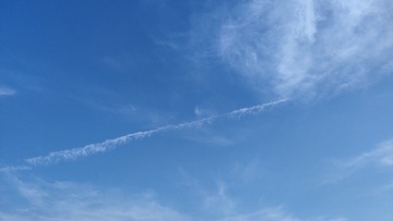 1000020106