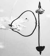 14023