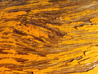 1169650