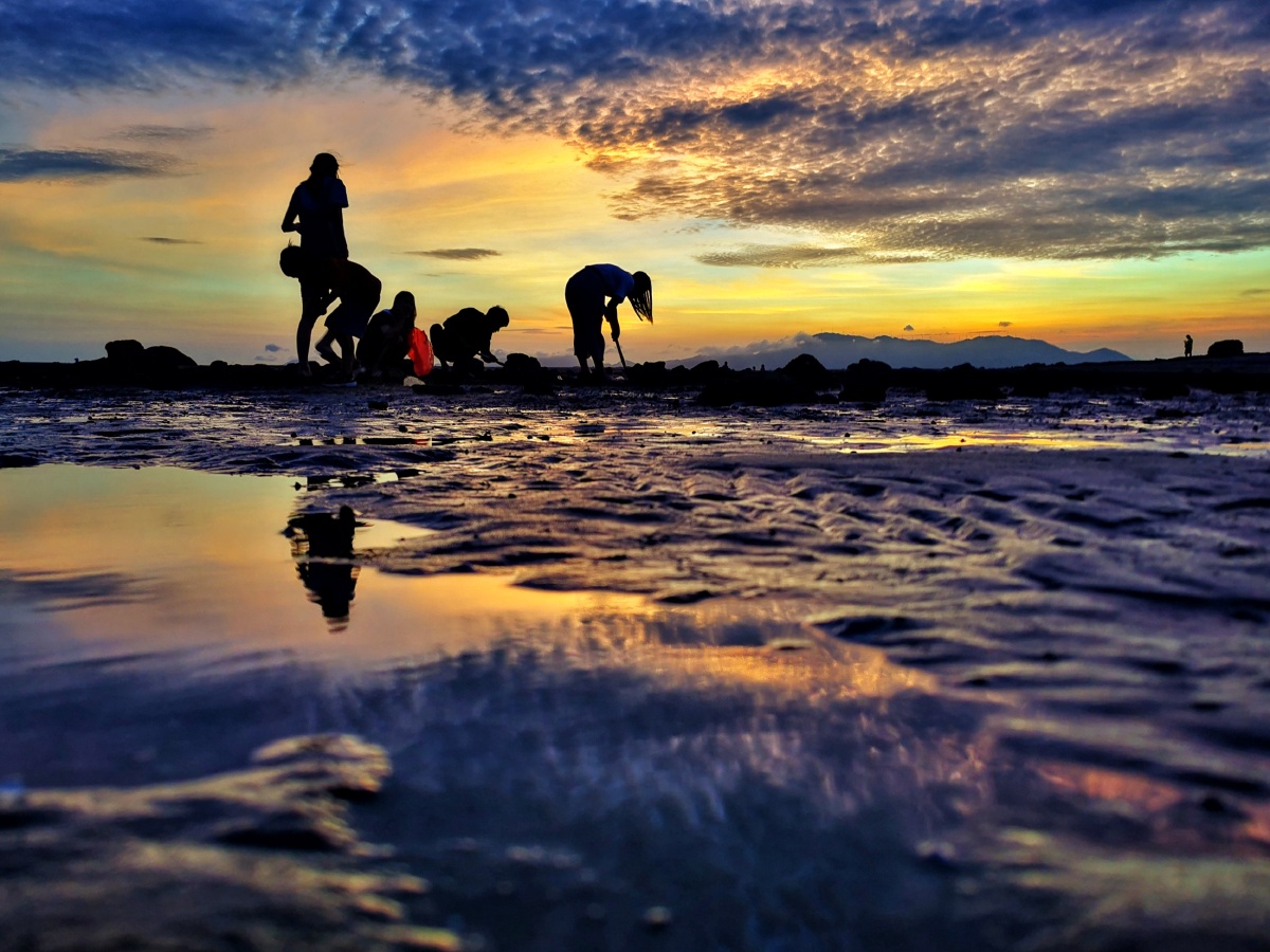 海陵岛之赶海的人