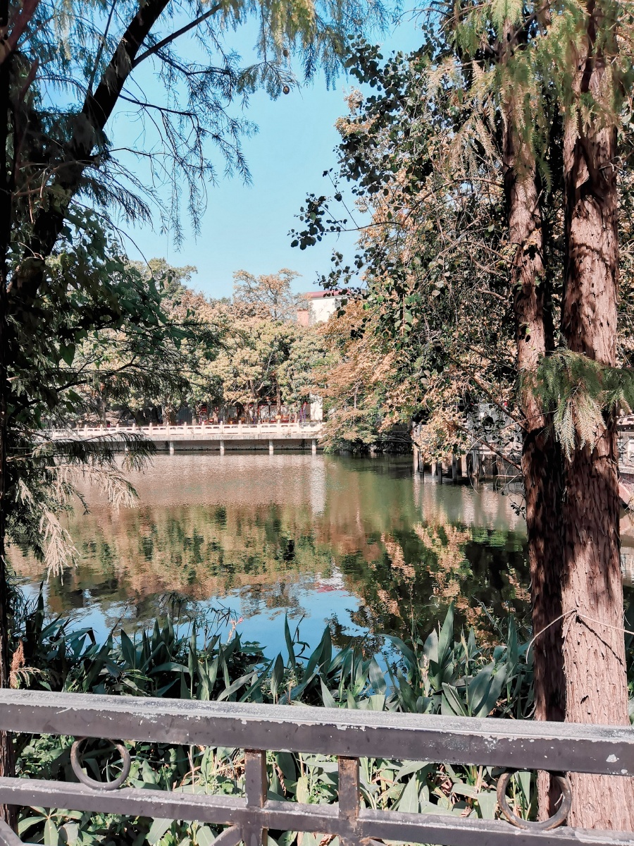 石龙的中山公园,是真的美!