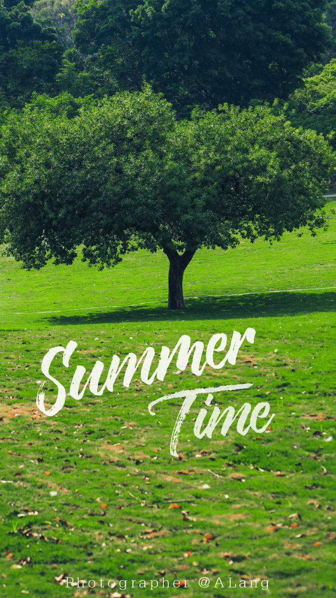 夏日限定summertime