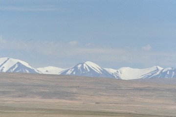 956158