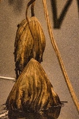 1215085