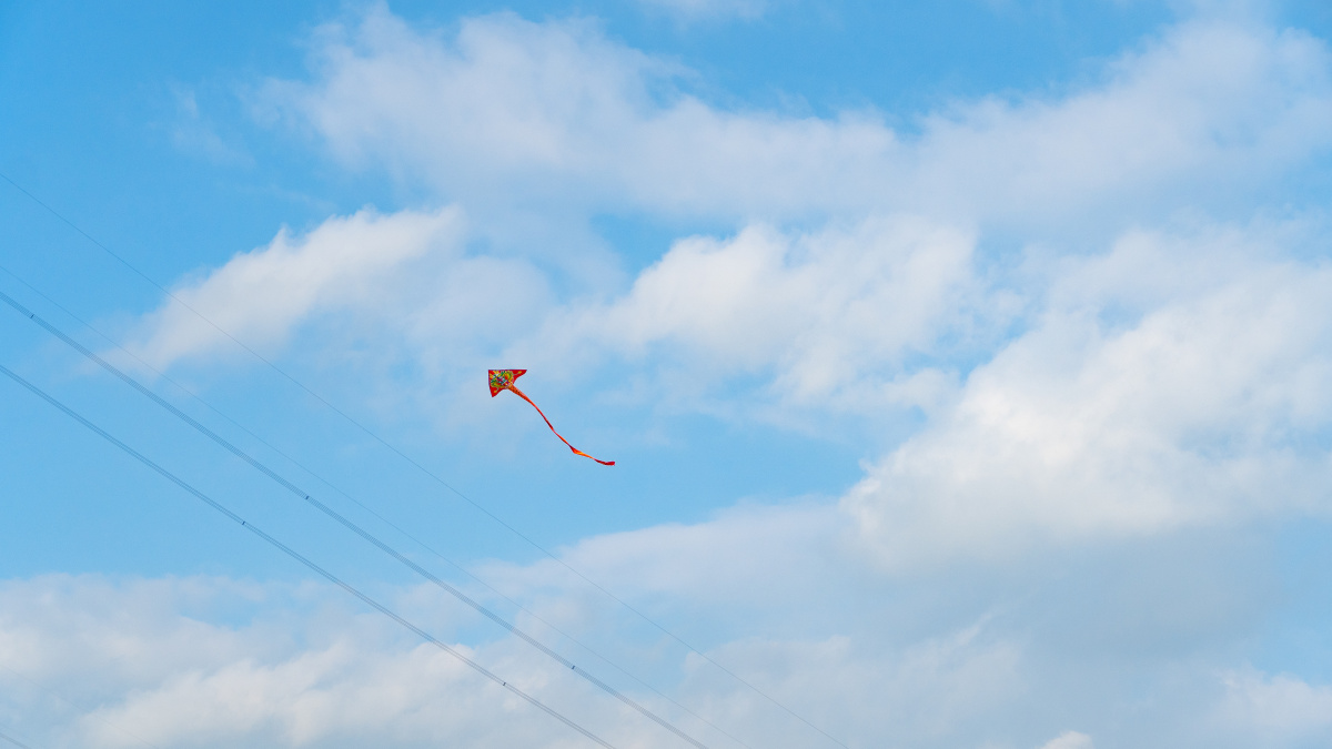 在暴雨里怀念春天的风筝 - 不识z - 图虫