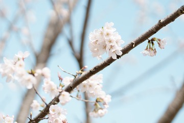C1E741A5-AB68-4FD9-8F18-9633C34E7621/L0/001