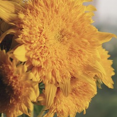 39EF7FB6-16AA-4C79-9D5D-4B5F6631F931/L0/001
