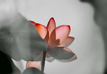 DSC_0001-0