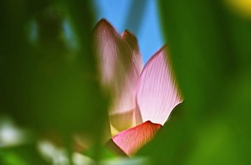 DSC_9844-3
