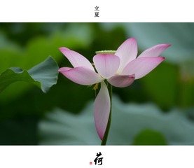 DSC_0261-0-1_