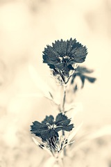 IMGP5770-2