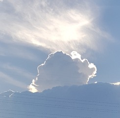 2098366